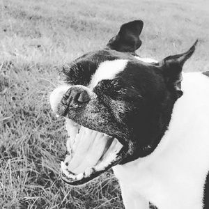 Meet your Posher, Jamie